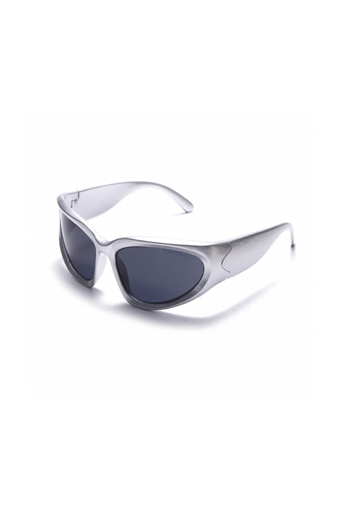 Ion Sunglasses in Black/Silver